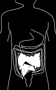 In figuur 1 wordt de plaats van de bovengenoemde (delen van) organen in het lichaam weergegeven. a. dikke darm (colon) b. dunne darm (ileum) c. sigmoïd d. endeldarm (rectum) e. anus f. maag f g a g.