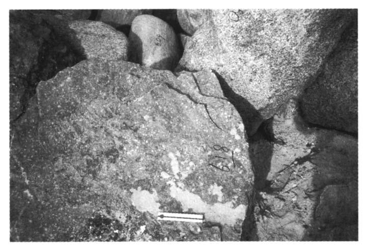 De stuwwalkern bevat leembanken, waarop hier en daar harde platen kalkhoudende zandsteen liggen.