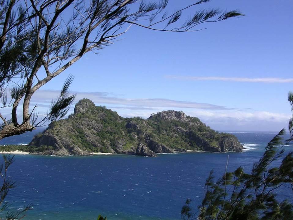 Monuriki eiland - Fiji - Foto Peter Harlow. Het eiland Monuriki is geen uitzondering op deze alarmerende trend en de leguanen populatie aldaar heeft dramatische verliezen geleden.