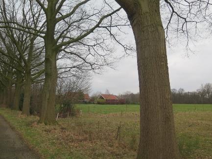 aanwezigheid van voldoende alternatieven in de vorm van aangrenzende beplantingen en de beperkte omvang van