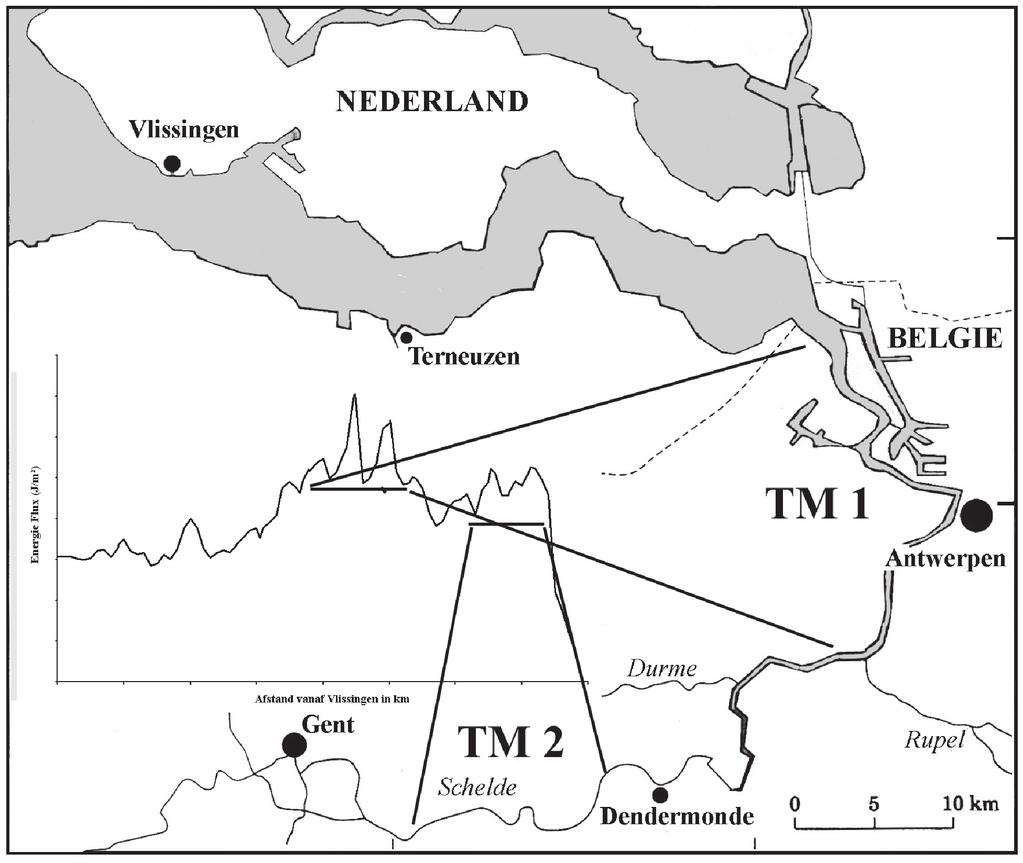 Figuur 5. Estuariene energie en troebelheidsmaxima (TM) in het estuarium van de Schelde. De legende van de energiegrafiek is terug te vinden in figuur 4.