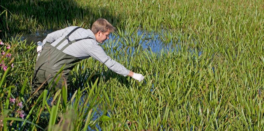 edna = environmental DNA DNA dat aanwezig is