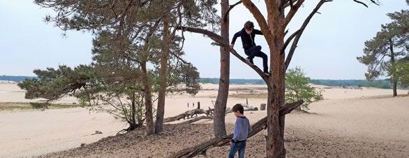 Drunense Duinen E Zandleij De Zandleij oogt als een natuurlijke beek, maar is nooit geheel natuurlijk geweest. De naam leij, wat geleiden betekent, geeft dat al aan.