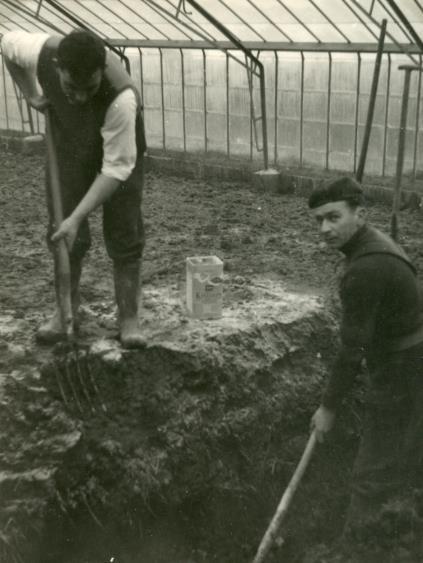 Overijze (januari 1957) (Foto uit het archief BDB)