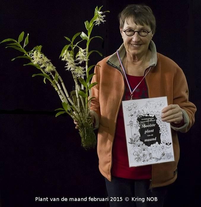 NOG EEN PLANT VAN DE MAAND FEBRUARI 2015 De tweede plant van de maand is een