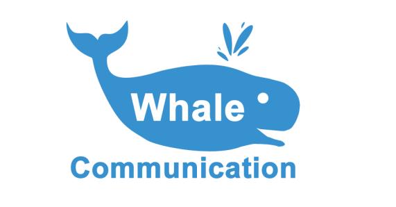 Algemene voorwaarden Whale Communication 2018 1. Definities 1.