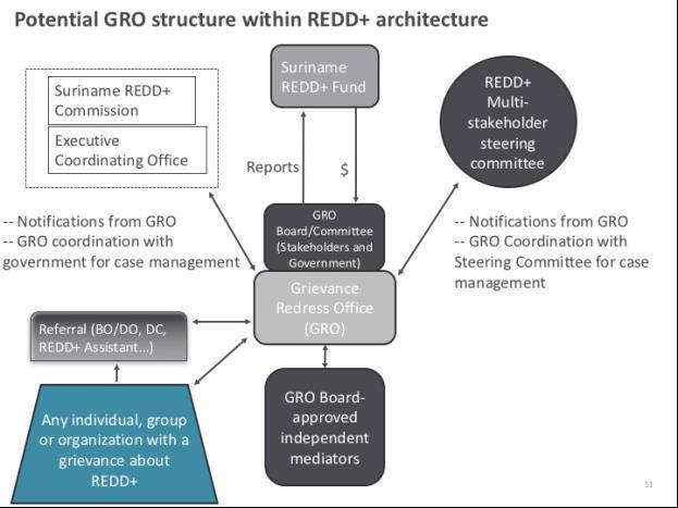 Het organisatieraamwerk voor implementatie van REDD+ in Suriname is nog in ontwikkeling.