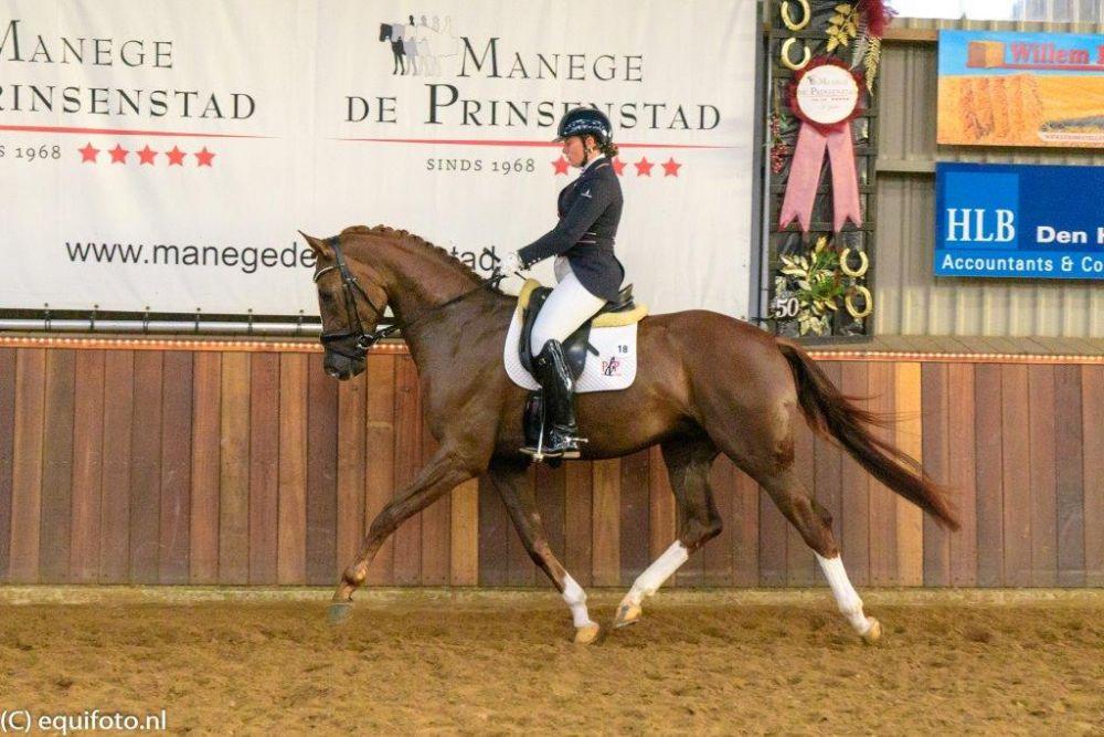 De tweede plaats was voor de ruin Kai van Wittenstein P (Dream Boy x Florencio) van eigenaren C.J. van Pernis/M. van der Kleij en C.M.E. Kok-van der Goes. Kai is gefokt door C.J. van Pernis/M.van der Kleij en werd voorgesteld door C.