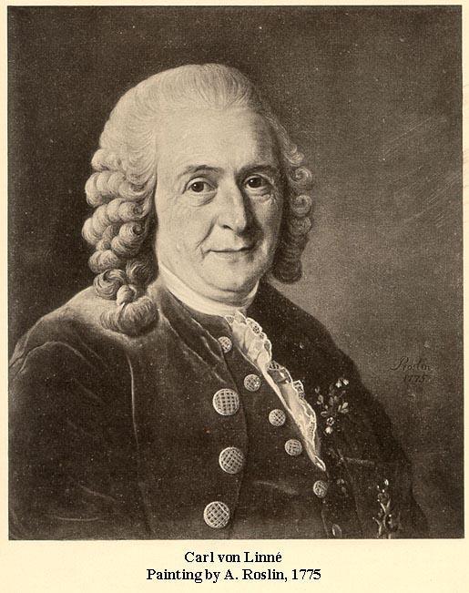 Taxonomie is van alle tijden Linnaeus (1707-1778), Zweedse arts en plantkundige: Father of taxonomy God creates, Linnaeus arranges Systema Naturae : Stenen-, planten-,