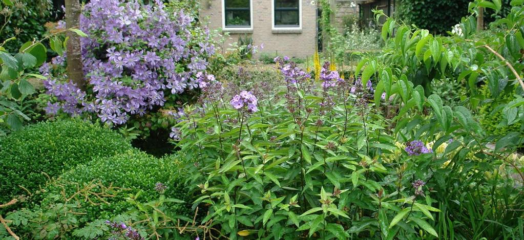 Beheer van vaste planten Bloeiseizoen verlengen: Door het (gedeeltelijk)