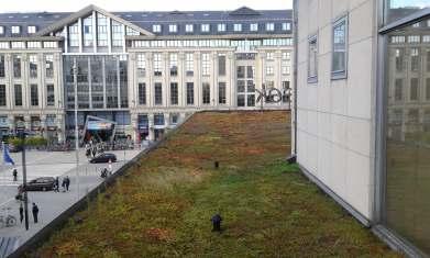 ADAPTATION MEASURES Green roofs Building