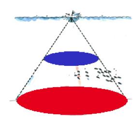 3. WAT ZIE IK? In dit deel zullen we ingaan op de basics van de sonar en hoe je het scherm moet lezen In dieper water breng je dus een groter deel van de bodem in kaart dan bij ondiep water. 3.