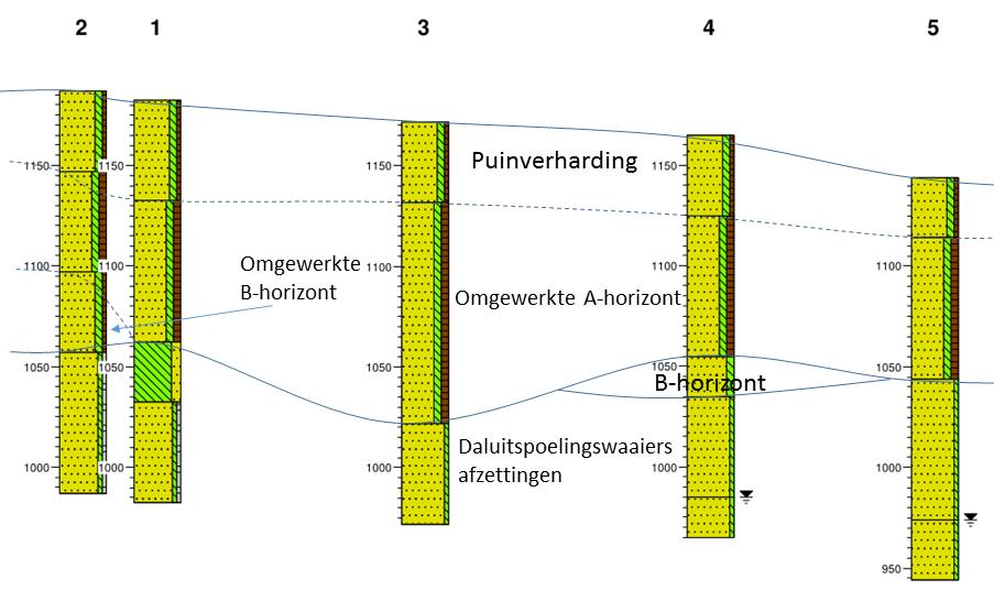 Figuur 4: schematische doorsnede van de bodem van deellocatie 1 op basis van de boringen. De A-horizont van de bodems in de boringen is in geen van de boringen nog intact aanwezig.