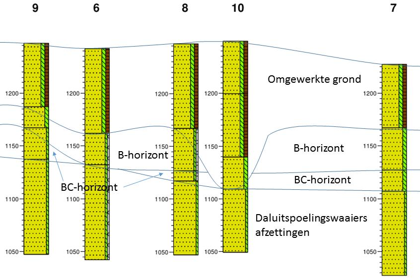 Figuur 5: schematische doorsnede van de bodem van deellocatie 2 op basis van de boringen. 3.4. Interpretatie Beide deellocaties liggen op afzettingen van daluitspoelingswaaiers uit het Pleistoceen.