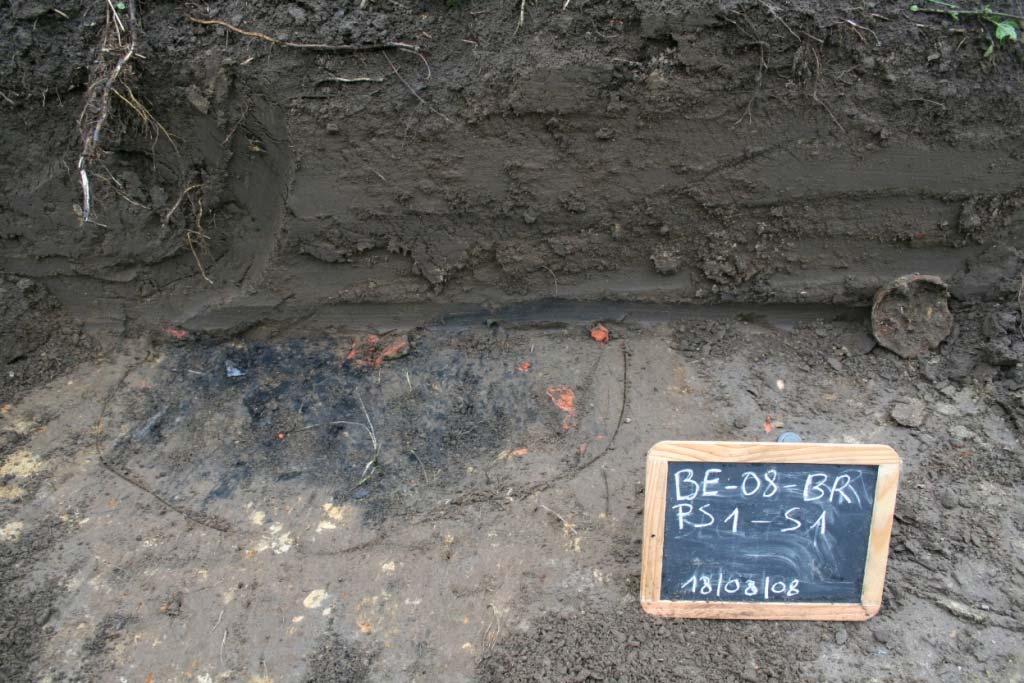 3.3. Archeologische gegevens In de proefsleuven werden slechts enkele sporen aangetroffen 8. In sleuf 1 werden 4 sporen blootgelegd.