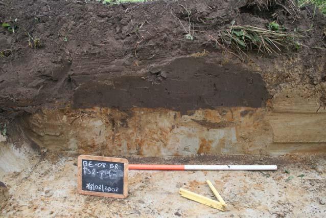 Hieronder bevond zich een 15- tot 20cm dikke bruin lemige zandlaag die intensief gebioturbeerd was (= B-horizont), deze bevatte slechts weinig antropogeen materiaal.