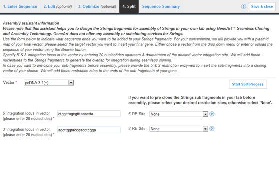 21 24 22 23 On the Split tab (20), read the information, enter the vector (21) you want to insert your final gene into, and enter exactly 20 nucleotides upstream and downstream of the integration