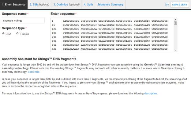 16 Carefully read the notes for using the assembly assistant, and download and read the description (16) for more information on how to use GeneArt Strings DNA Fragments for assembly of