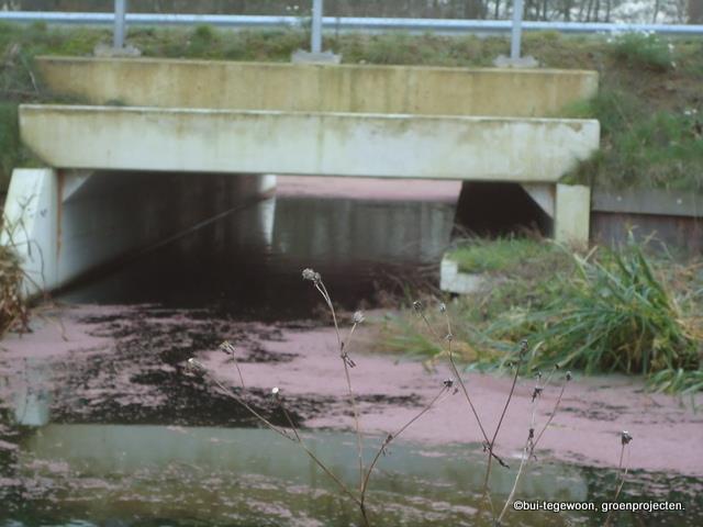 begeleiding ZWR Gouda Nr.