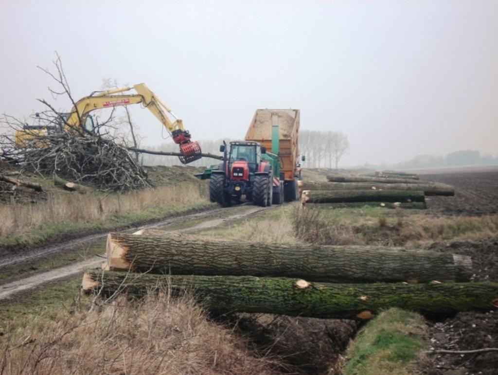Maar in Nederland geoogste biomassa voor bioenergie zijn geen hele bomen Zaaghout gaat naar zagerijen http://www.markussebv.nl/site/index.