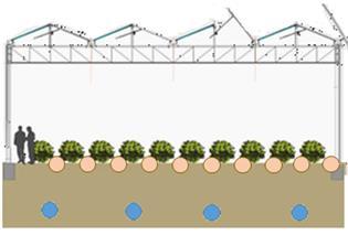 6 Drainagewater Drainagewater definiëren we als het water dat via een ondergronds buizenstelsel wordt opgevangen om te voorkomen dat het grondwaterniveau onder de serre te fel zou stijgen.
