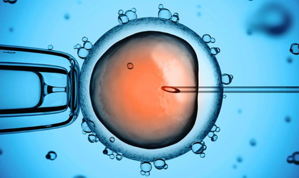 Embryology) URG (Unit voor