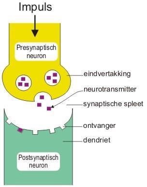 Neurotransmitters Stoffen die