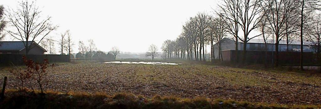 noordwestkant van het plangebied mogelijk; zie de foto hieronder en rechts en de markeringen in