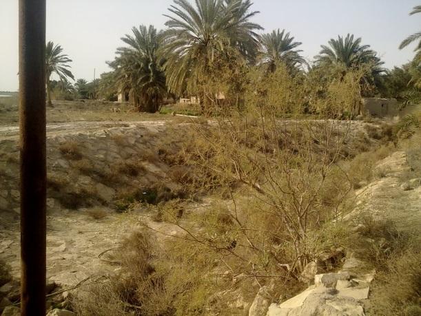1 Directoraat Water Resources De heer al-gazzali heeft om meer inzicht te krijgen in het irrigatieproject met de directie van het directoraat Water Resources in Samawah gesproken.