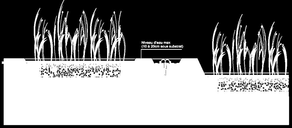 water na zuivering, loos geen verdund afvalwater in het collectief rioleringsnet, enz.