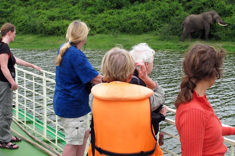 Op de savannes kun je al het grote wild van Afrika (behalve neushoorns) zien, zoals olifanten, leeuwen, buffels, luipaarden, giraffen en verschillende antilopen soorten zoals de