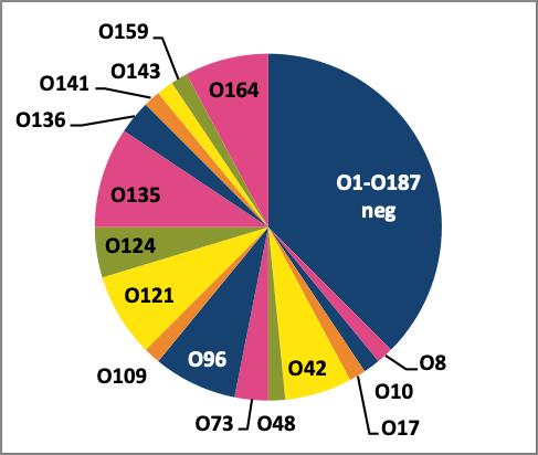 serotype 6 (12%, Figuur 4).