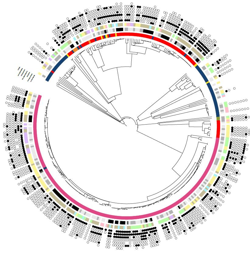 Figuur 6. Core genome MLST-tree voor 348 isolaten. Gebaseerd op 2315 allelen van het Enterobase Escherichia/Shigella cgmlst v1 scheme. Missende waarden zijn beschouwd als eigen categorie.
