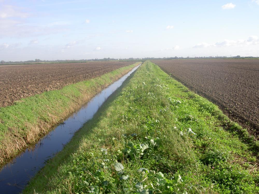 Draagt bij aan schoon water