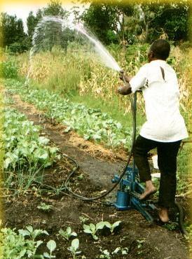Treadle pump Zuig pomp, irrigatie 1.