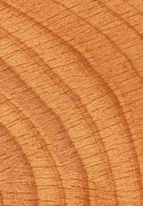 Geschikt voor het boren van blinde gaten in samengestelde houtsoorten, massief hout en beplakte plaatmaterialen. Snijlengte 001.00.00 001.00.01 x 27 7, 001.00.00 001.00.01 x 27 7, 001.0.00 001.0.01 7 x 27 7, 001.