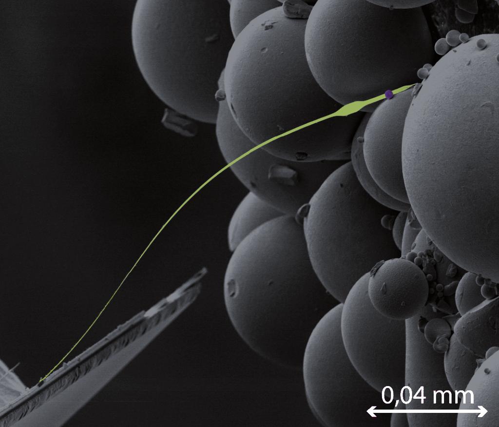 144 magnetic resonance force microscopy for condensed matter De heilige graal van microscopie Figuur S2: Een klein magnetisch balletje (diameter 3 µm, moeilijk zichtbaar, paars ingekleurd) wordt