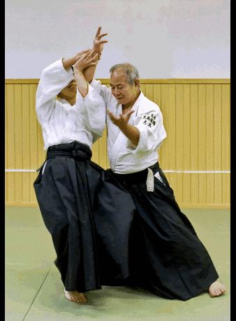 Wat zijn Japanse Martial Arts 武道 Dit zijn alle