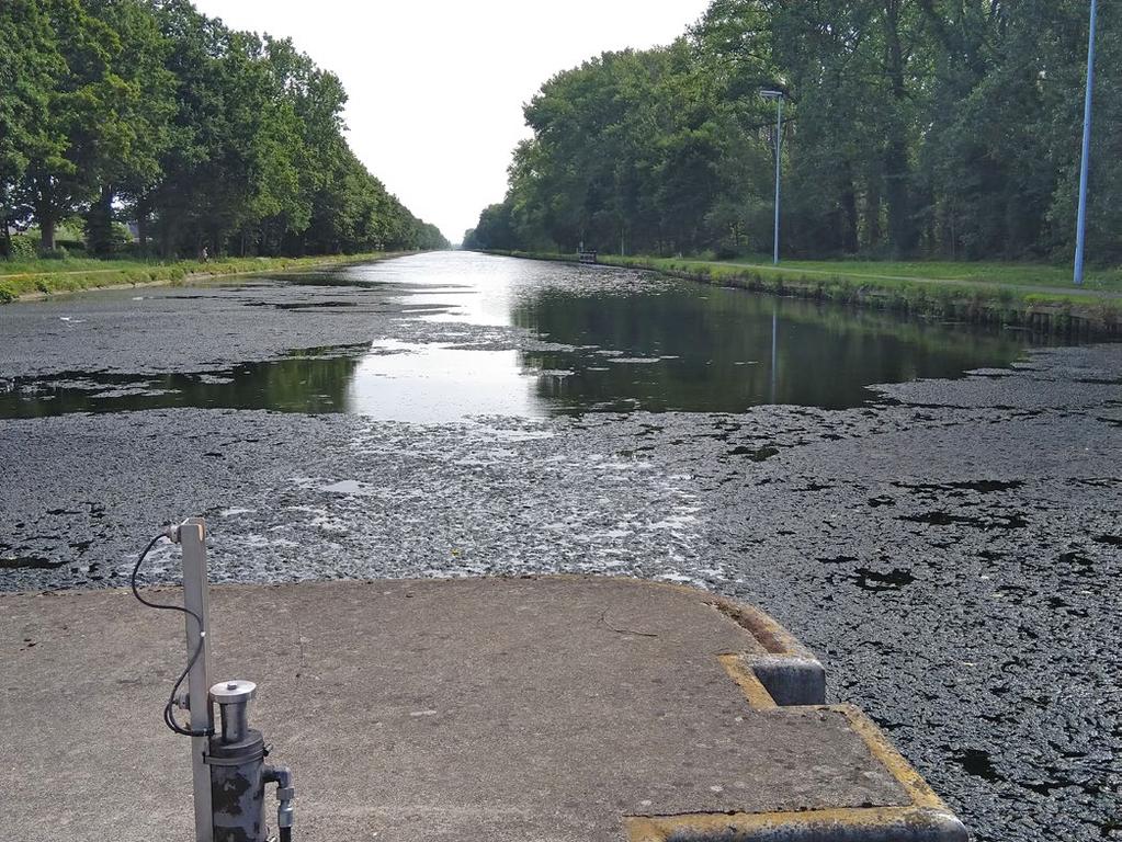 Verschillende fietslussen leiden de recreant langs de meren en kanalen in de streek. Bij Sas 4 in Dessel kruisen drie kanalen: Bocholt- Herentals, Dessel-Schoten en Dessel-Kwaadmechelen.