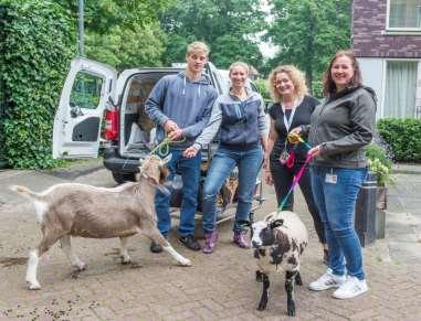 De Dierenhoeve Is een vrijwilligersorganisatie die brede lagen van de Noordwijkerhoutse samenleving bereikt; Kent een grote burgerbetrokkenheid; deze zal door de voorgenomen