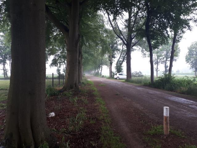 Resultaten Flora Tijdens het veldbezoek zijn op de trajecten geen in de Wet Natuurbescherming beschermde plantensoorten of plantensoorten van de Rode Lijst aangetroffen.