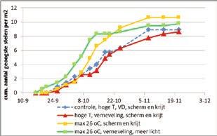 4. Vroegheid Het verloop van het cumulatief aantal geoogste bloemstelen per m 2 (Figuur 18.) en het percentage geoogste bloemstelen per week (Figuur 19.