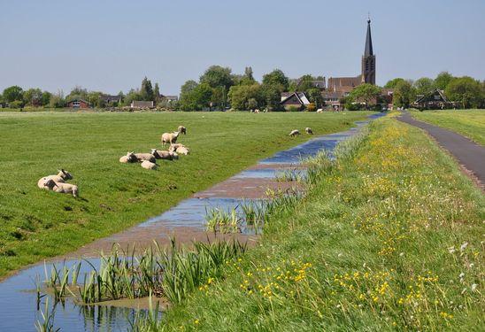 van Leiden.