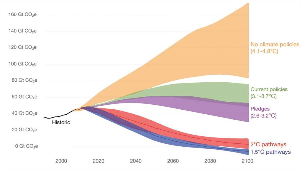 The Climate Policy Gap