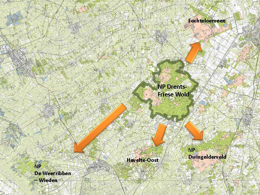 2.4 De dubbelslag In 2009 werd een ambitieus plan gelanceerd om van het Drents-Friese Wold te verbinden met het Fochteloërveen, het Nationaal Park Dwingelderveld, natuurgebied Havelte-Oost en het
