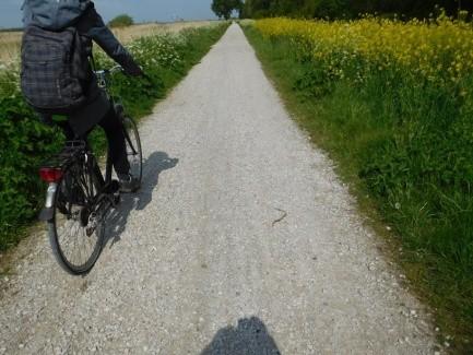 Scootmobielroute (Duifpolder) 19. Bij de veerboot is een wachtplaats met picknicktafels in steenslag.