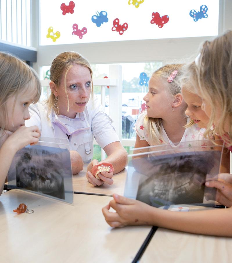 Hierdoor raakt de melktand of -kies los en valt uit. Toon verschillende soorten tanden en kiezen. Wie weet hoe ze heten? Snijtanden, hoektanden, kleine kies, grote kies.