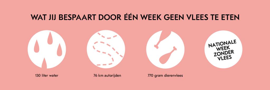 1.2 Doelstelling Stichting Nationale Week Zonder Vlees wil Nederland op een concrete manier bewust maken van de positieve impact van minder vlees eten, en laten zien hoe gemakkelijk dit eigenlijk kan