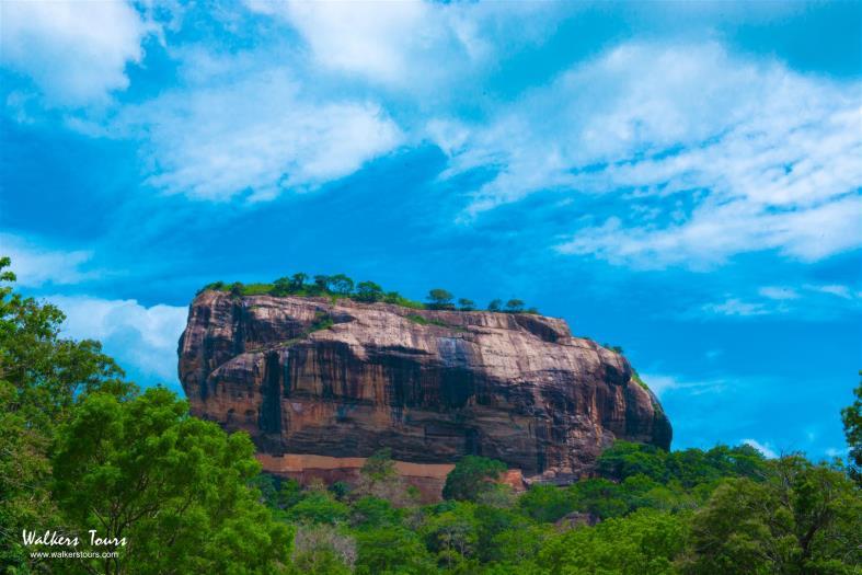 Dag 4 18/2 Polonnaruwa - Sigiriya Na het ontbijt vertrek richting Kandy (2u15), de culturele hoofdstad van Sri Lanka, maar eerst beklimmen we de leeuwenrots.