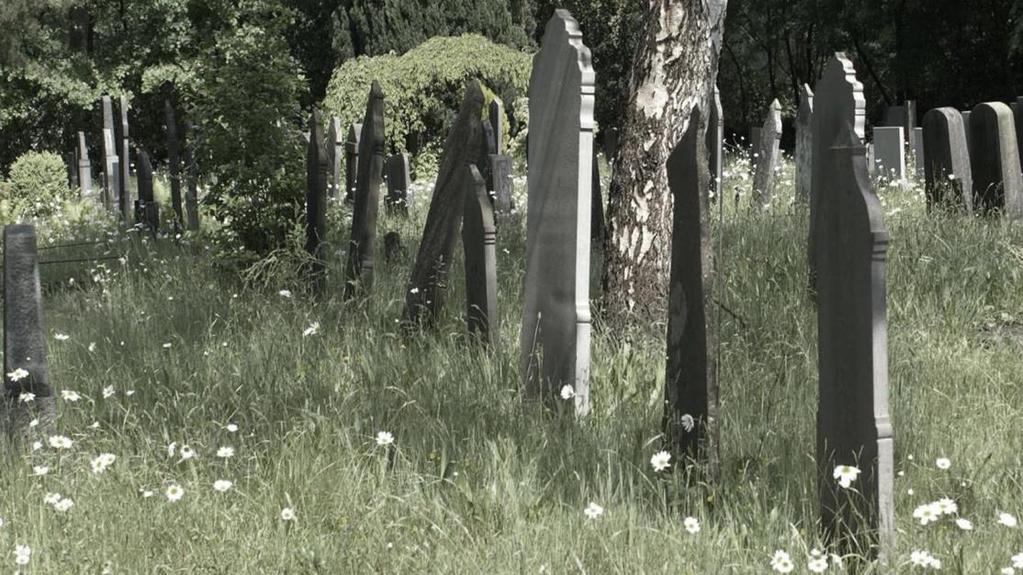 Donderdag 23 januari 2020 Wilfred Hilbers: Levende Begraafplaatsen Als landschapsarchitect is Wilfred één van de weinige gespecialiseerde begraafplaatsontwerpers van Nederland.